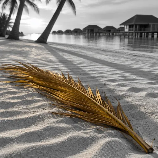 An elegant guide to the best resorts in the Maldives for discerning travellers